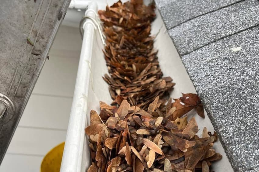 Lorem ipsum dolor sit amet, dolore #11