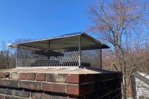 Chimney Caps