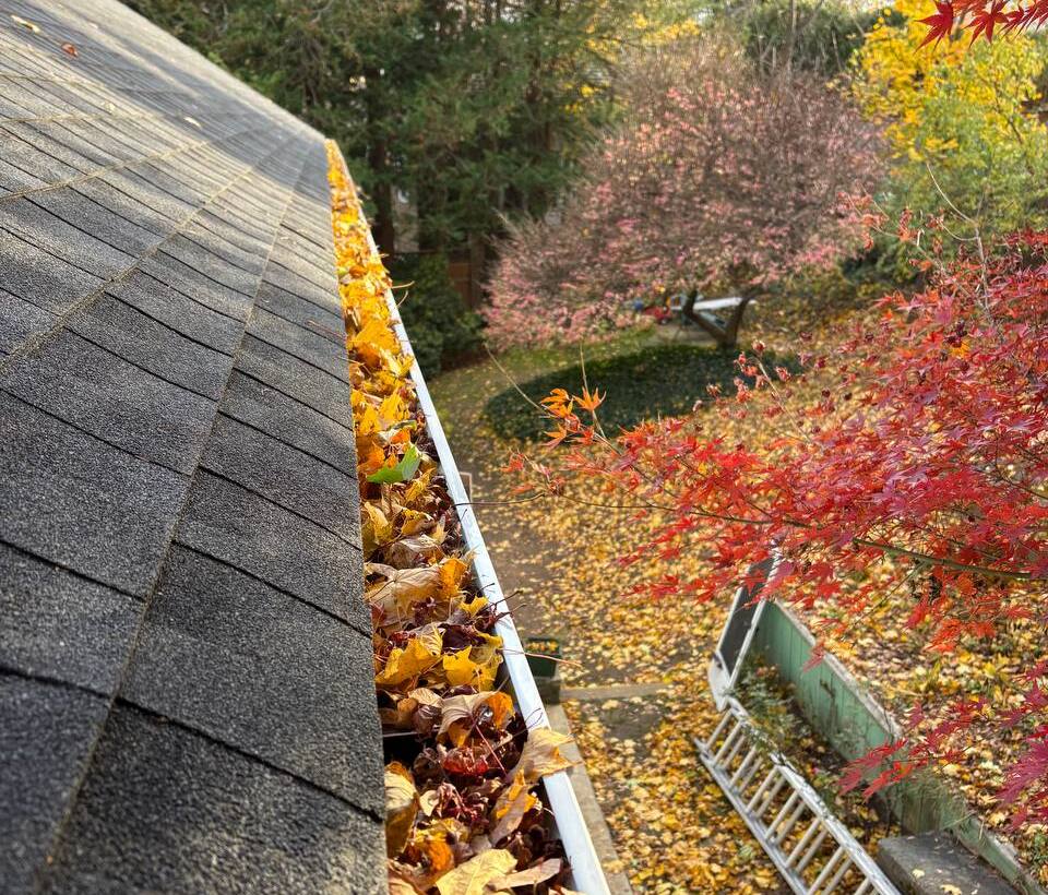 Gutter full of fall leaves along a roof edge before cleaning in Stamford, CT